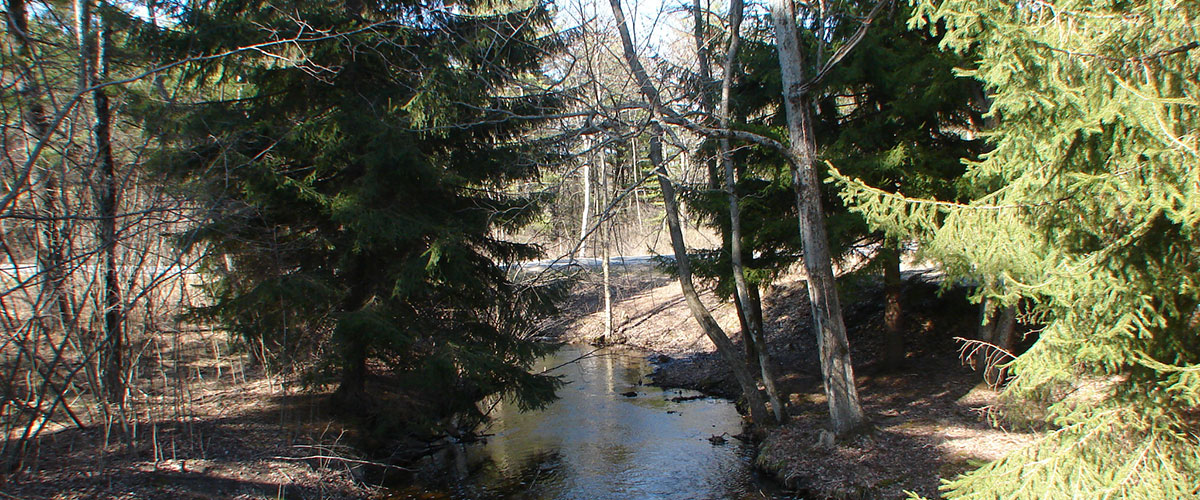 Delegan Pond [4]