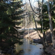 Delegan Pond [4]