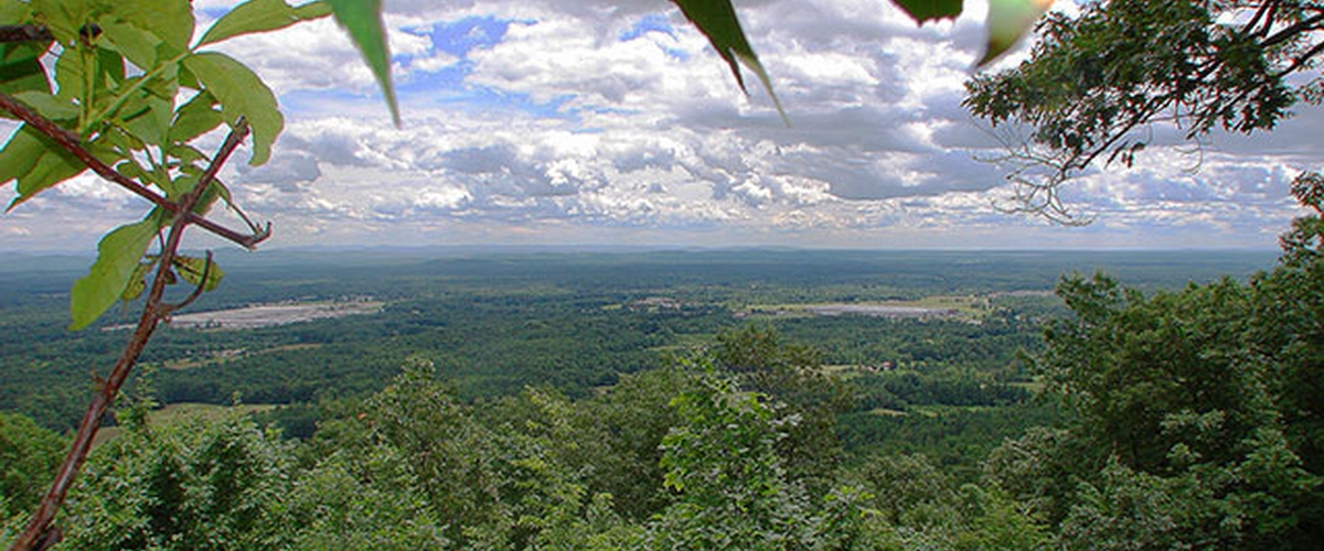 Hiking and Trails