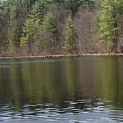 DeleganPond [1]